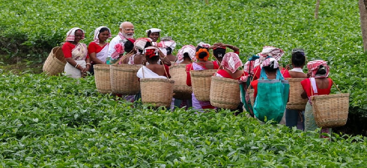 पीएम मोदी यूं ही नहीं पहुंच गए डिब्रूगढ़ के चाय बगानों में…………………